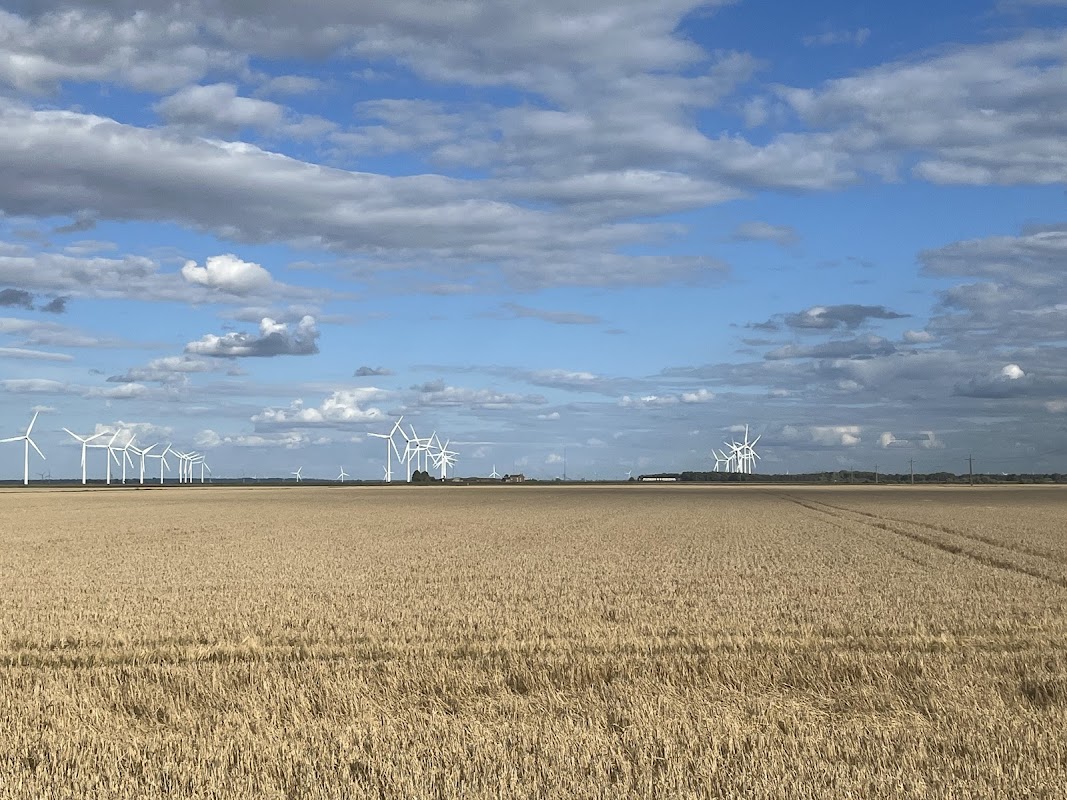 Rolling golden fields under a blue sky with scattered clouds, featuring wind turbines in the distance.