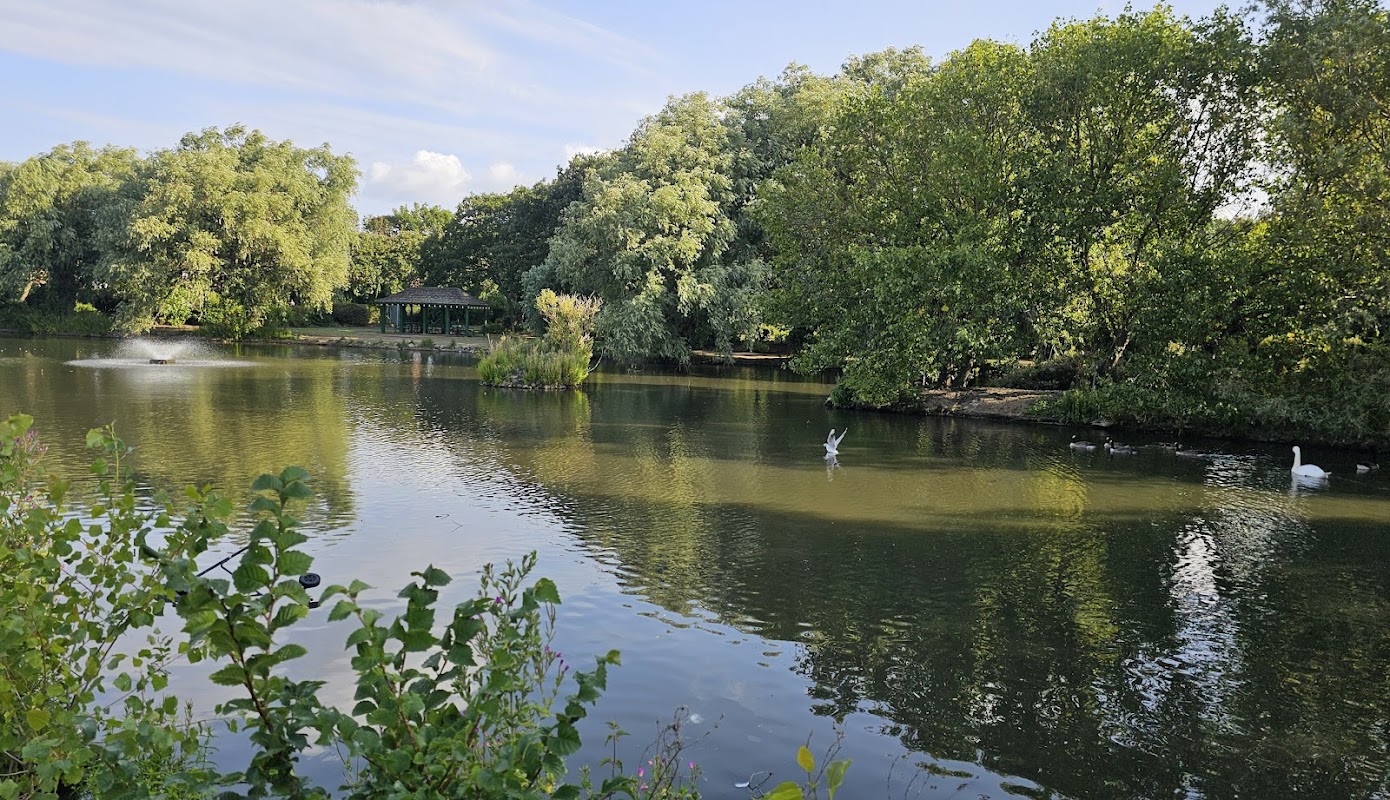 Serene lake surrounded by lush greenery, with swans gliding and a gazebo in the distance under a clear blue sky.