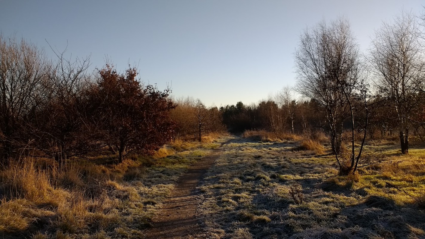 Foxrush Farm