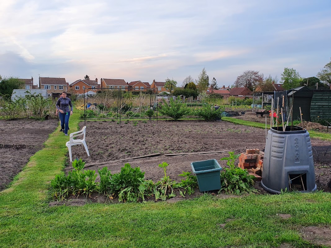 Westfield Allotments