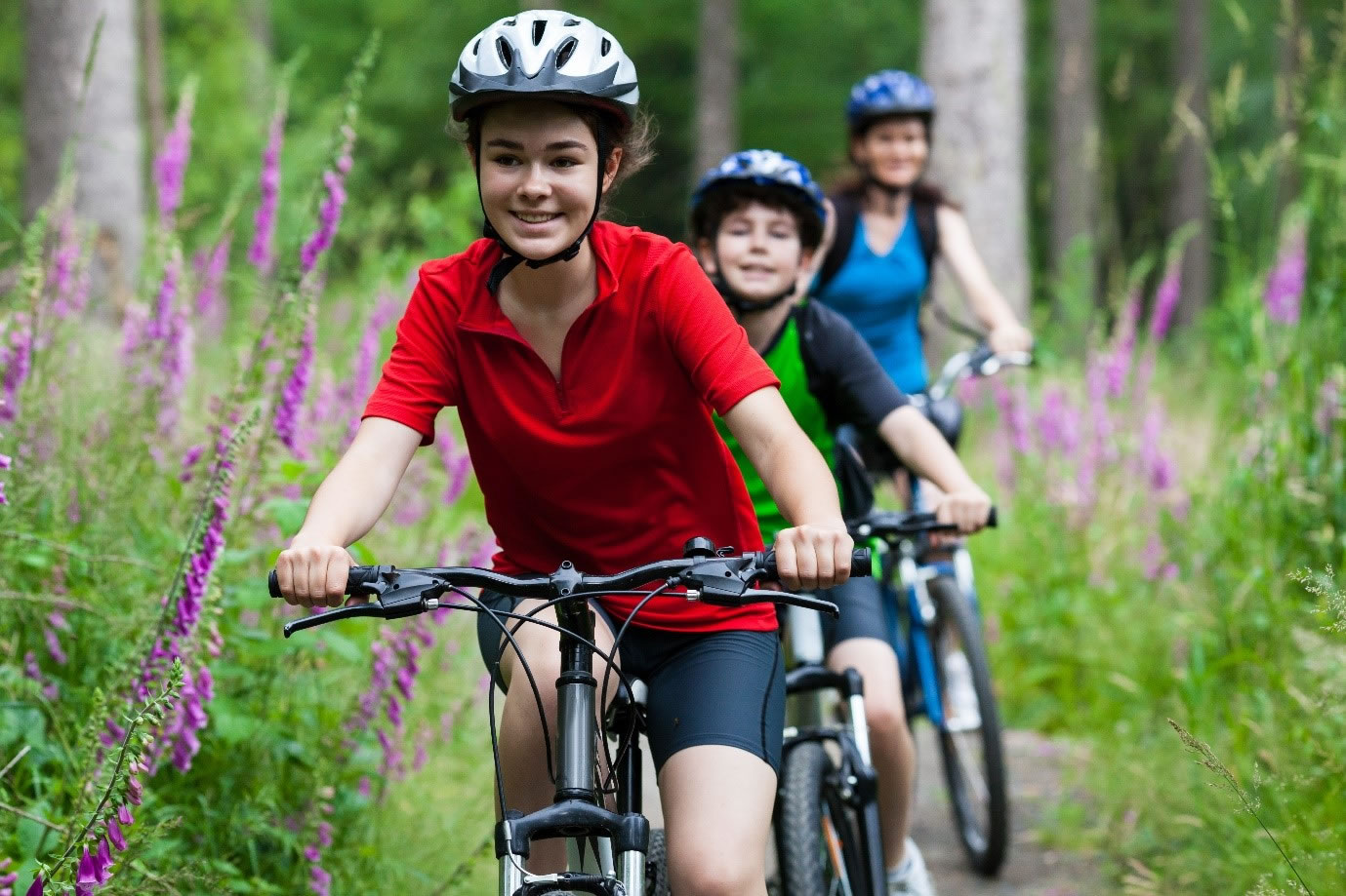 Ride Free Cycle Hire