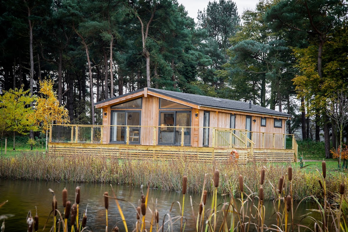 Modern wooden lodge with large windows, surrounded by trees and a pond, featuring a deck and autumn foliage.