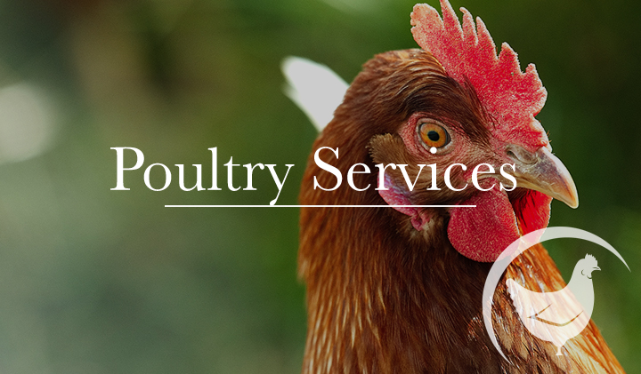 Sandhill Veterinary Services
