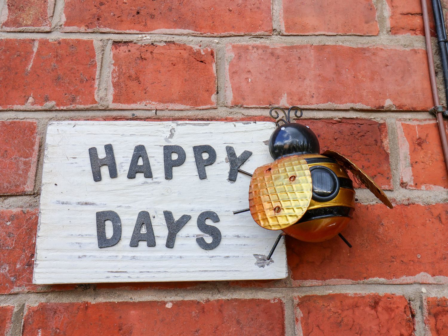 Happy Days — photo 2