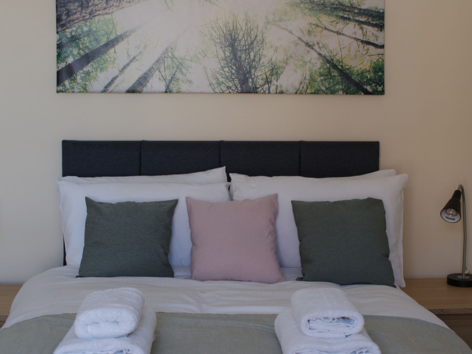 The Newborough - 1 Bedroom Apartment — photo 6