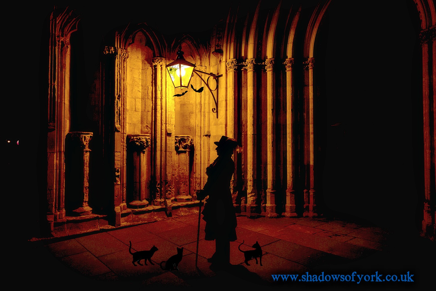 Shadows of York