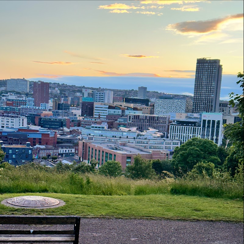 Cholera Monument Grounds and Clay Wood - Historic Site in sheffield