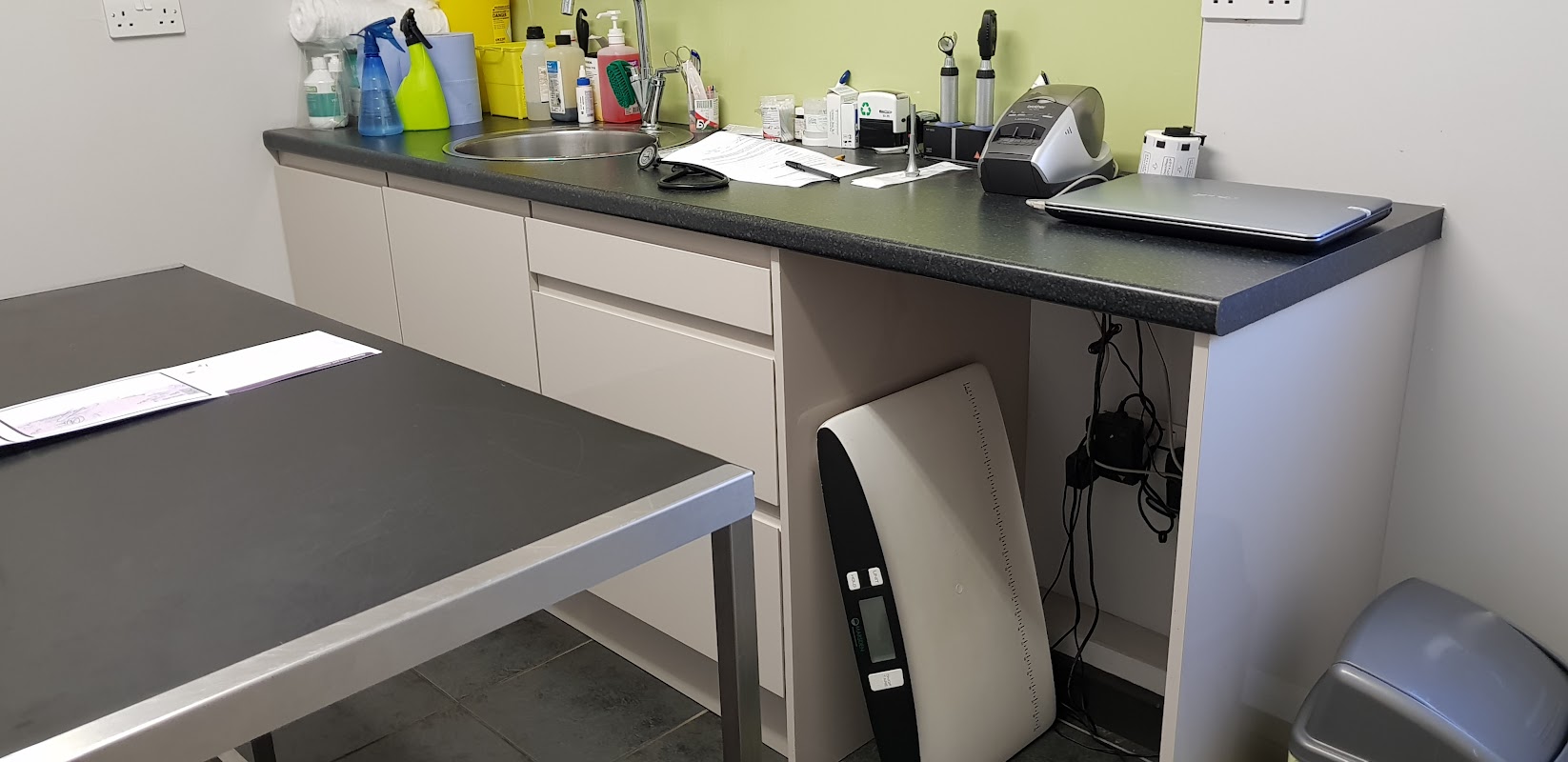 Veterinary practice workspace with cleaning supplies, a sink, paperwork, and a laptop on a counter.