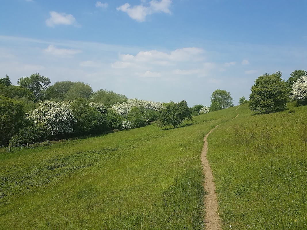 YWT Sherburn Willows Nature Reserve