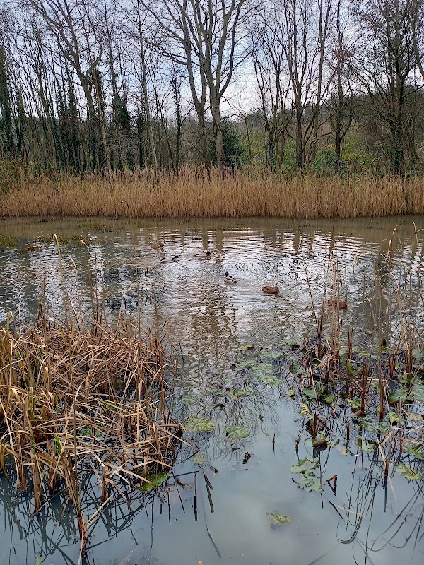 Denso Marston Nature Reserve