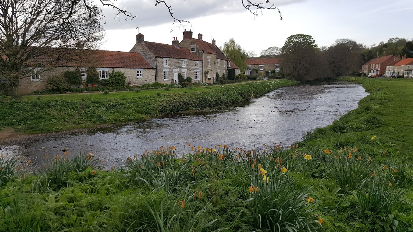 Sinnington Common