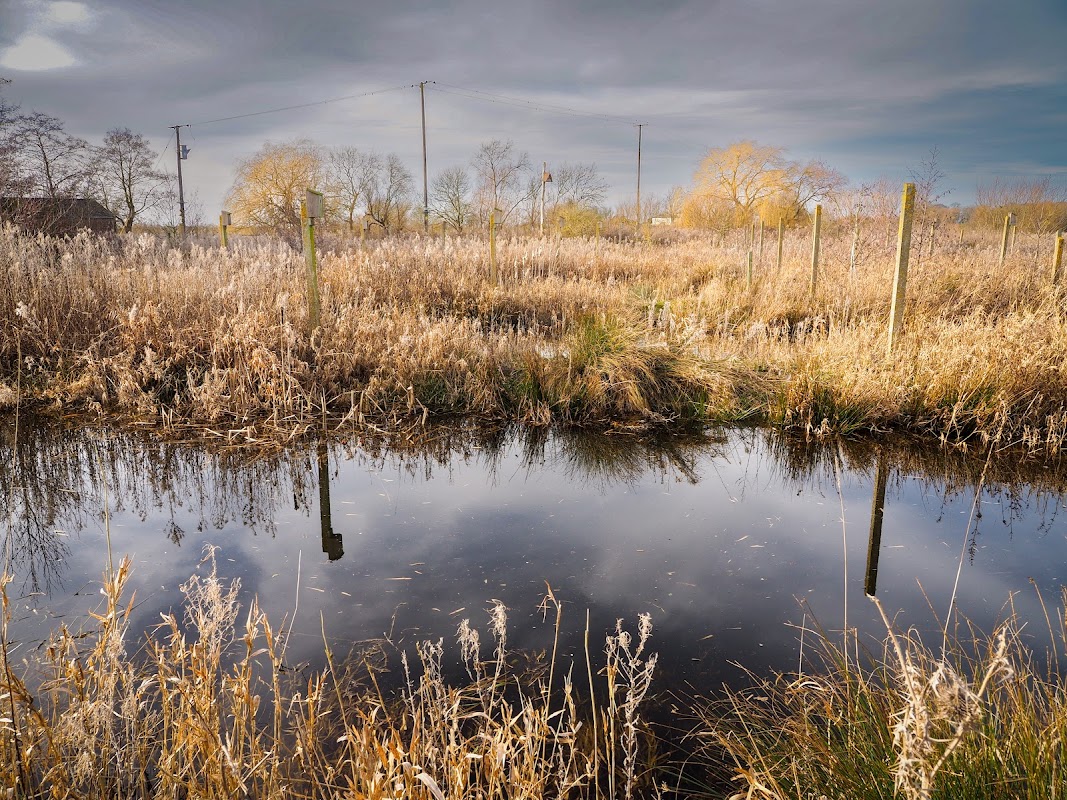 Skerne Wetlands