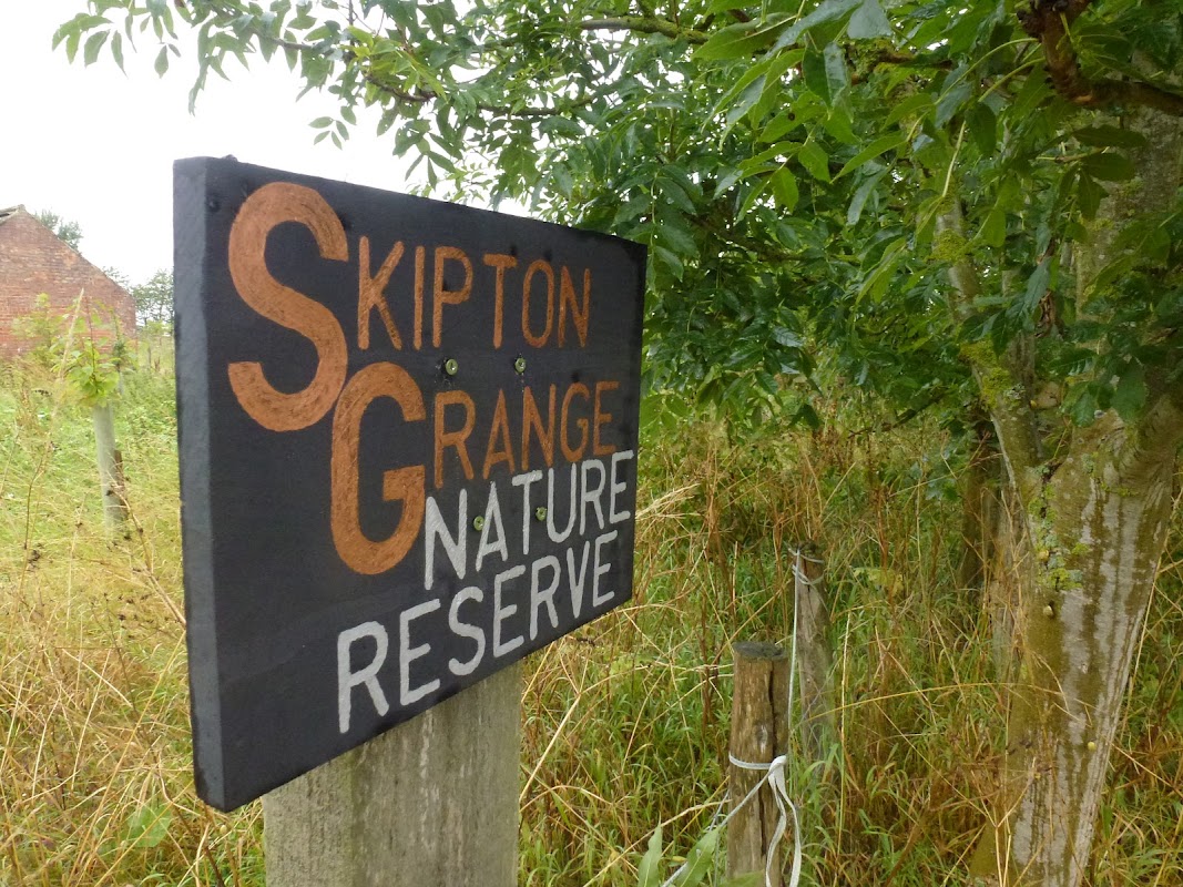 Skipton Grange Farm - parks in skipton on swale