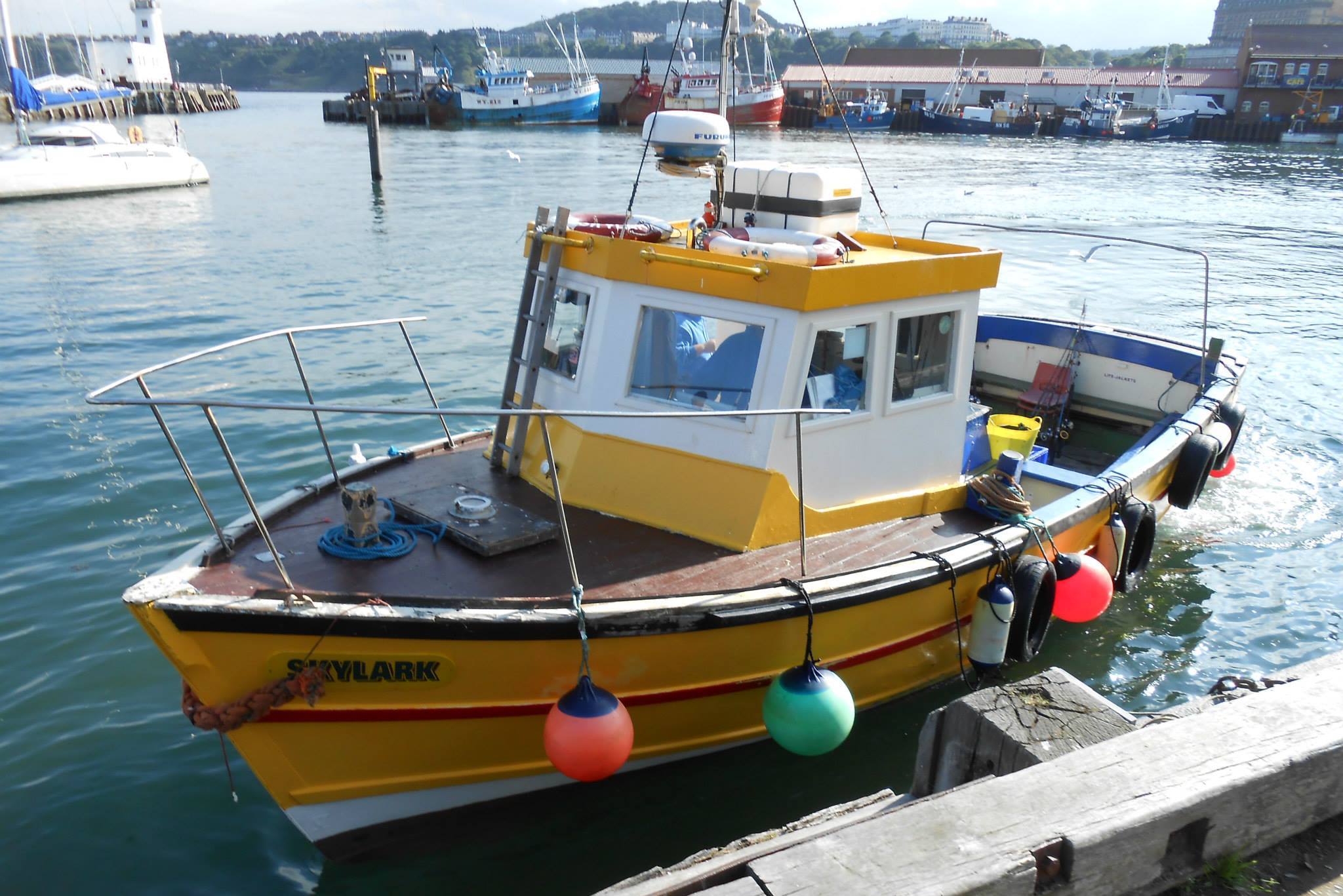 Skylark Fishing & Charters