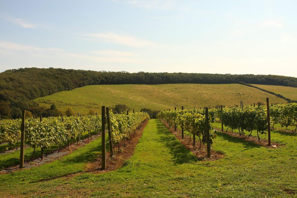 Little Wold plantation