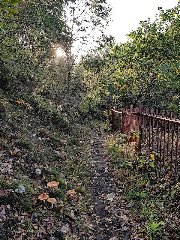 Milner Royd Nature Park
