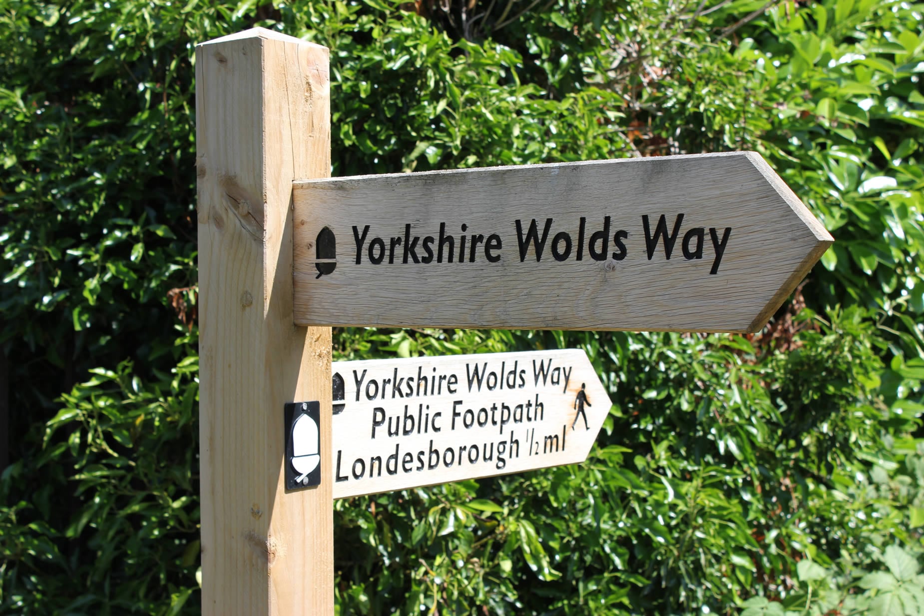 ||Cleveland Way walk|