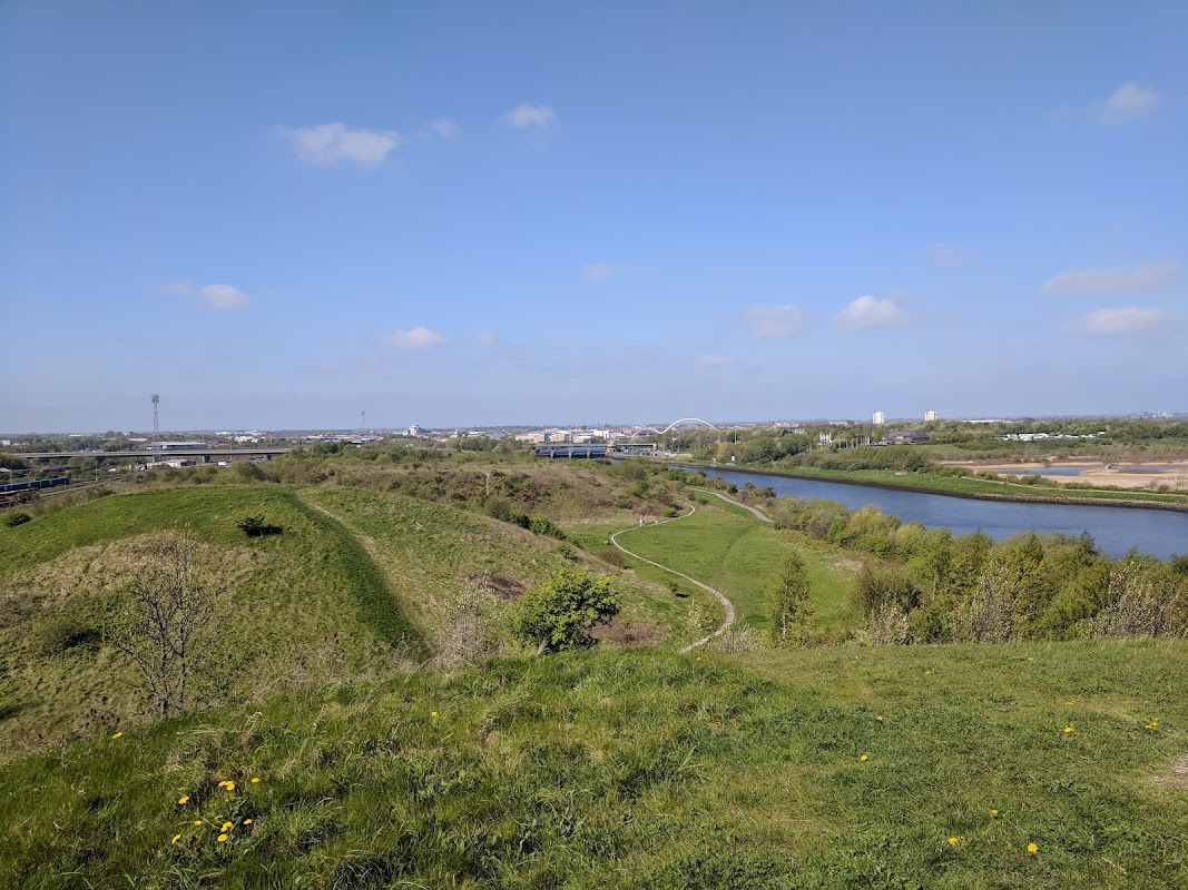 Maze Park Nature Reserve
