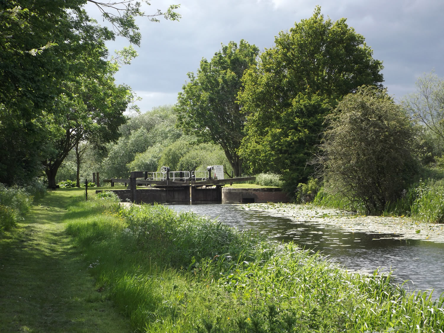 The Pocklington Canal Amenity Society