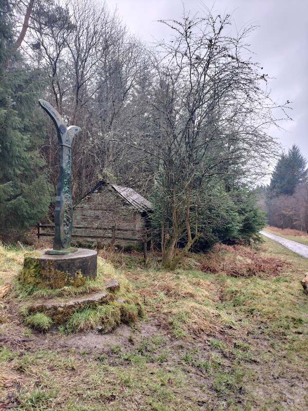 Pay & Display parking sign at Moor Ln, surrounded by trees and a rustic shed in a natural setting.