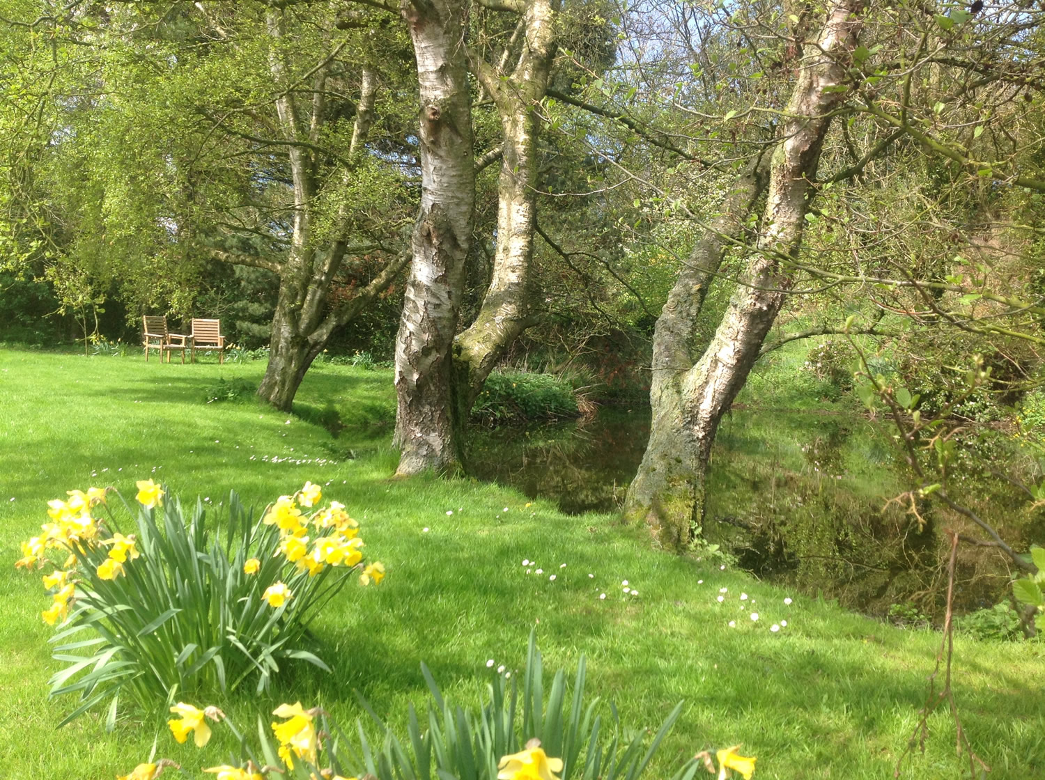 Thirley Banks Cottages