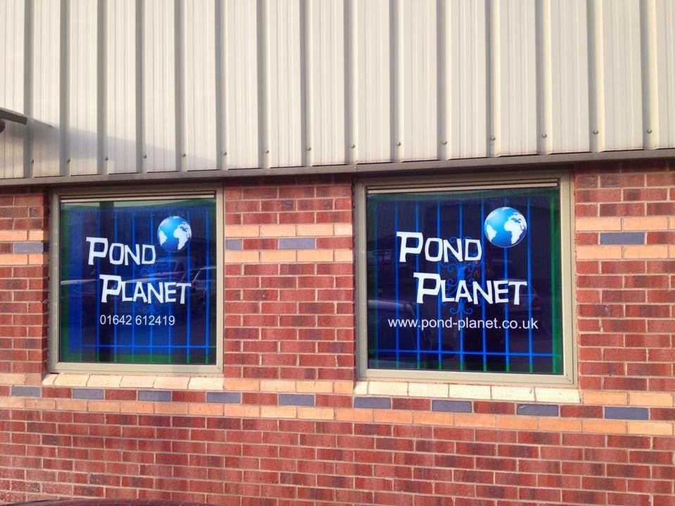 Pond Planet