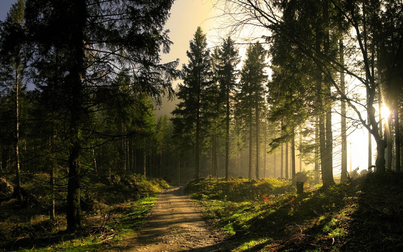 Trail Explorers