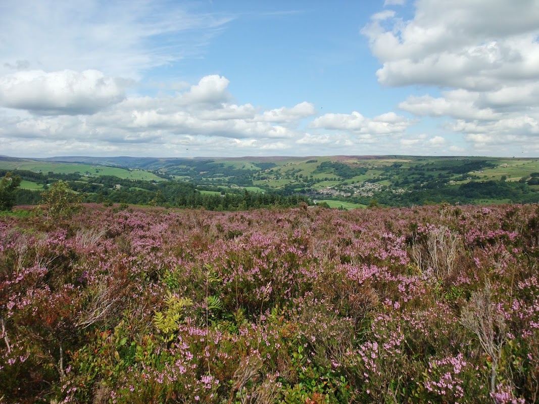 Nidderdale National Landscape