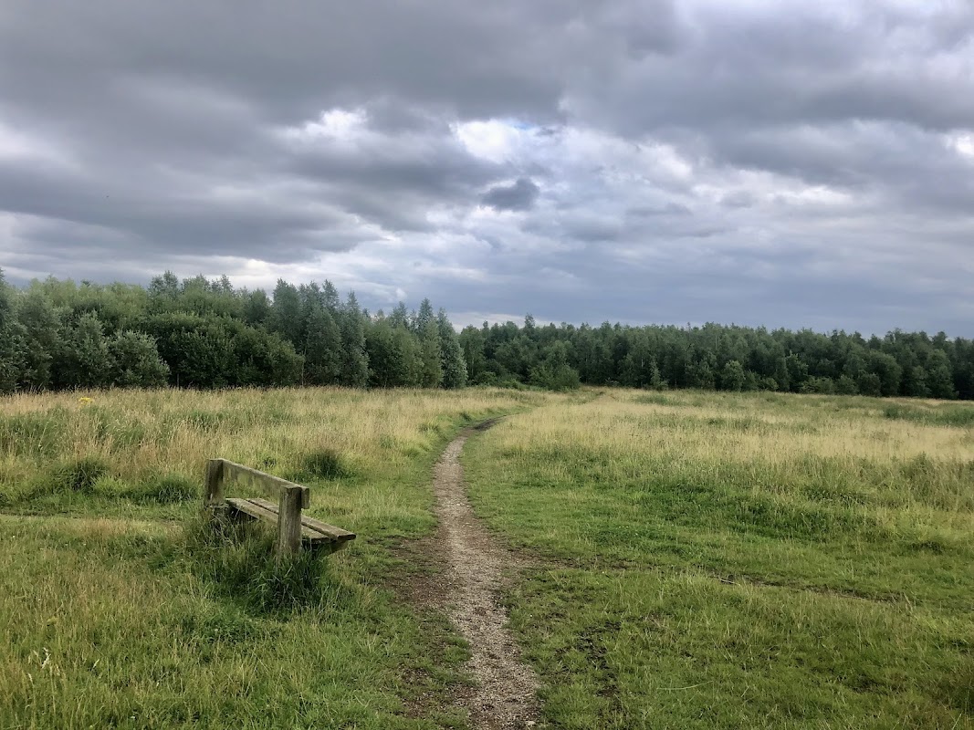 Brookfield's Park Landscape Area