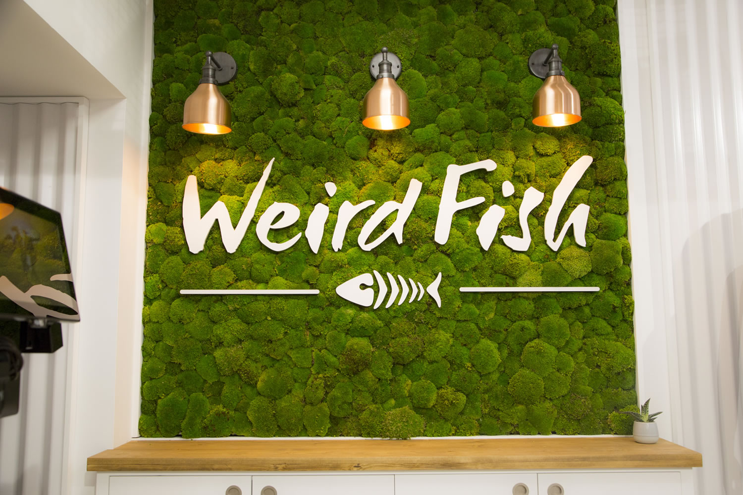 Weird fish clothing|||