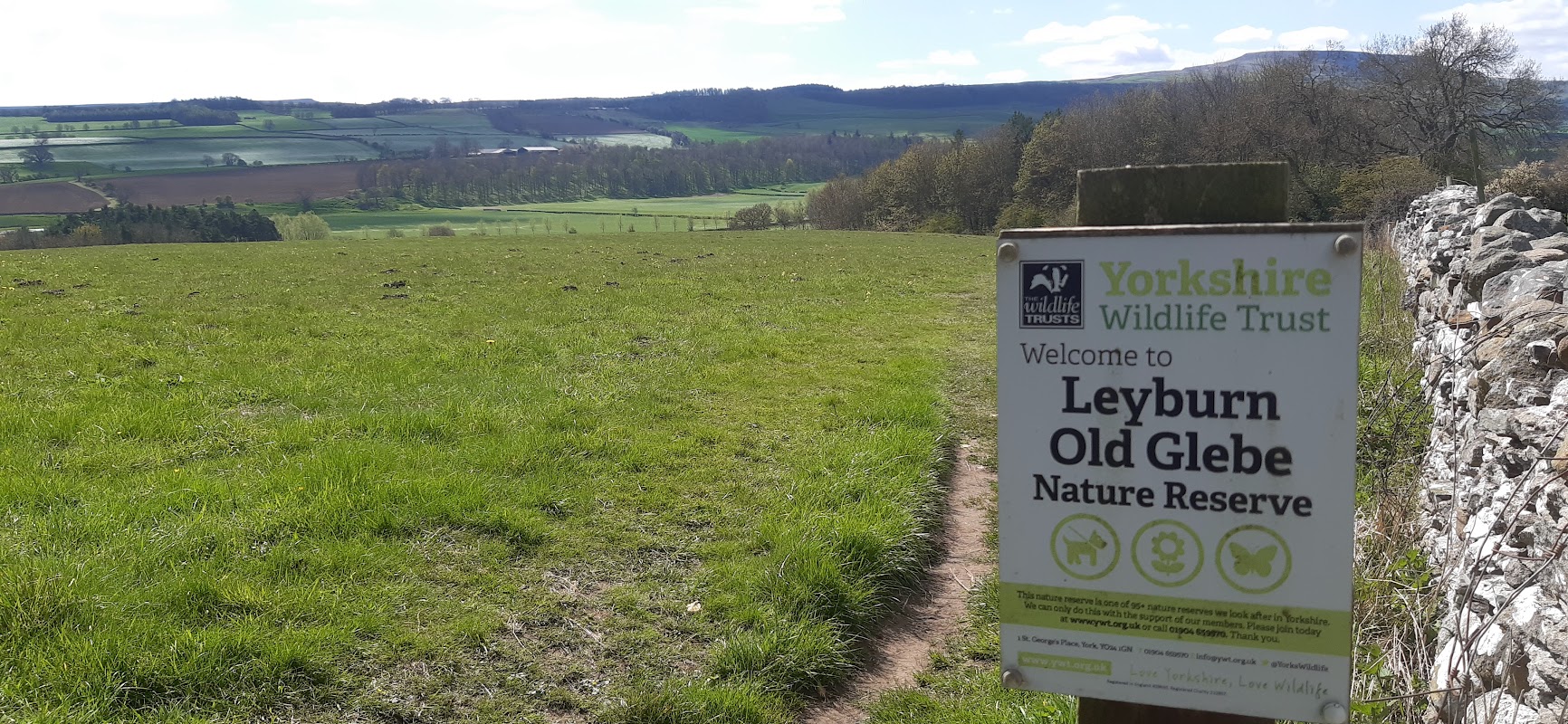 Leyburn Old Glebe
