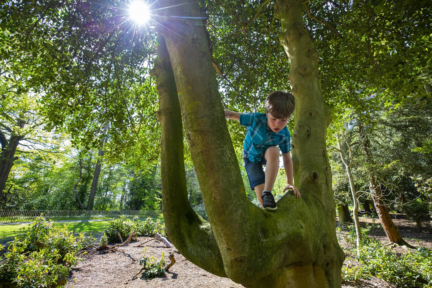 Wentworth Castle Gardens|||
