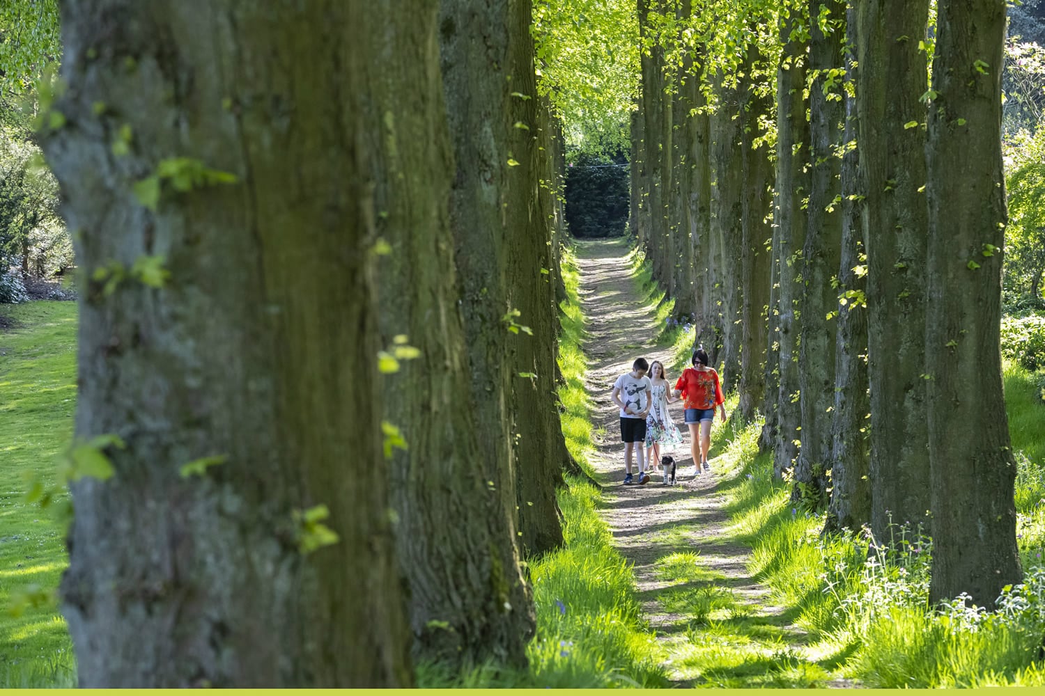 Wentworth Castle Gardens|||