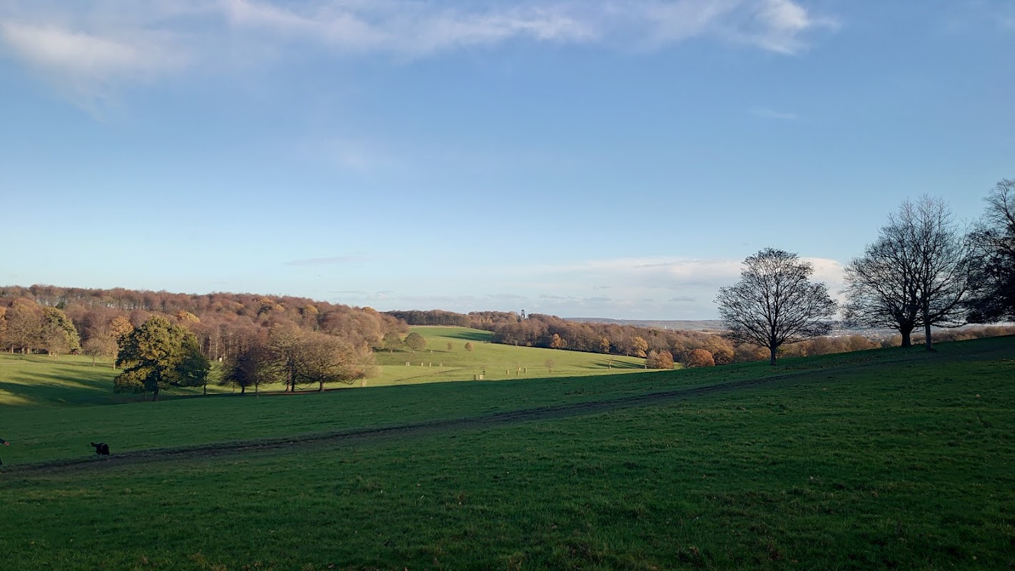 Wentworth Park