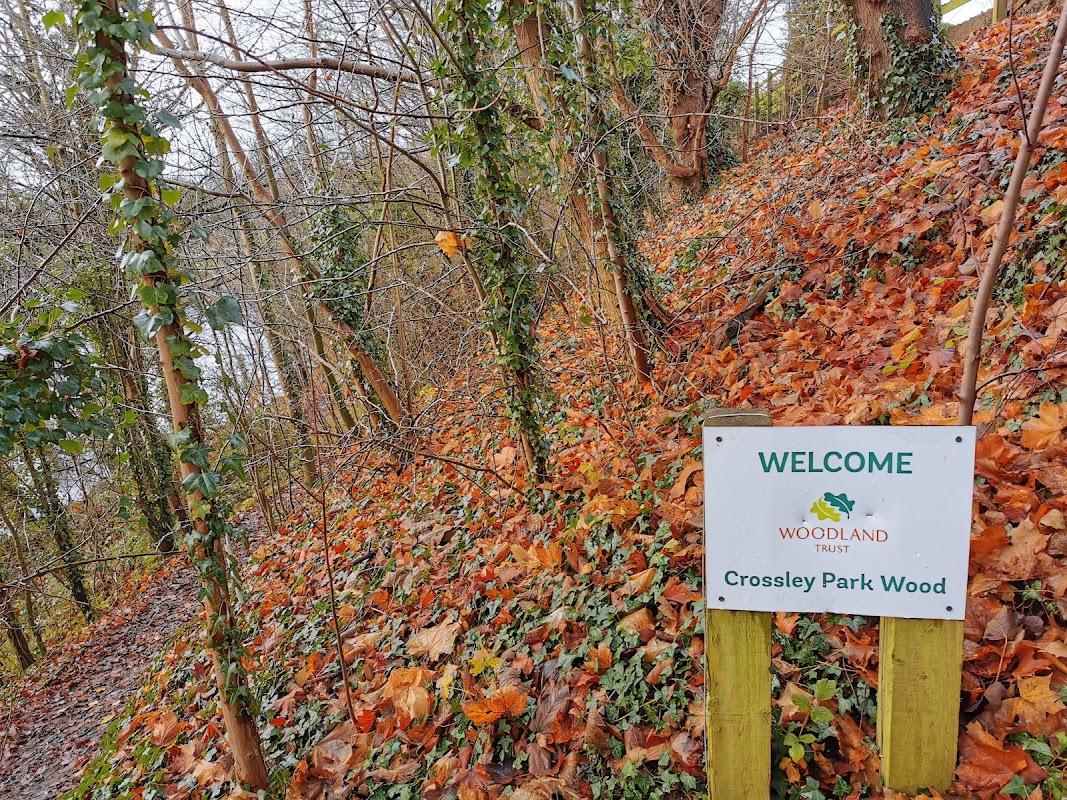 Crossley Park Wood