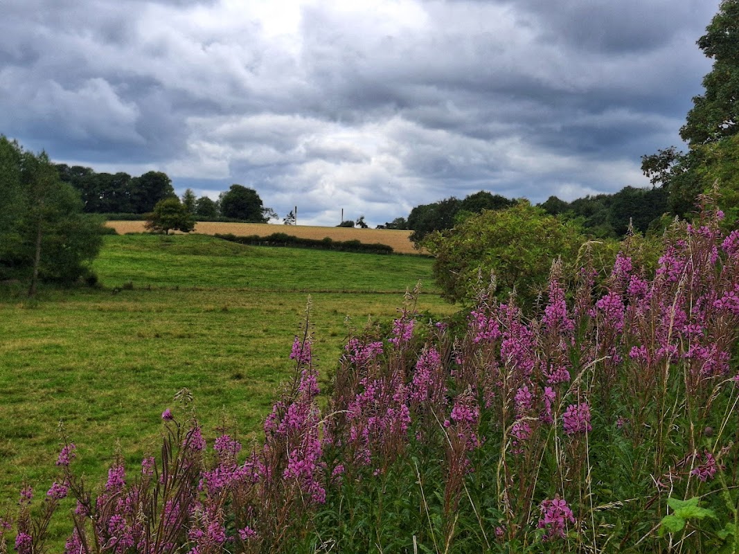 Wetherby Bike Track