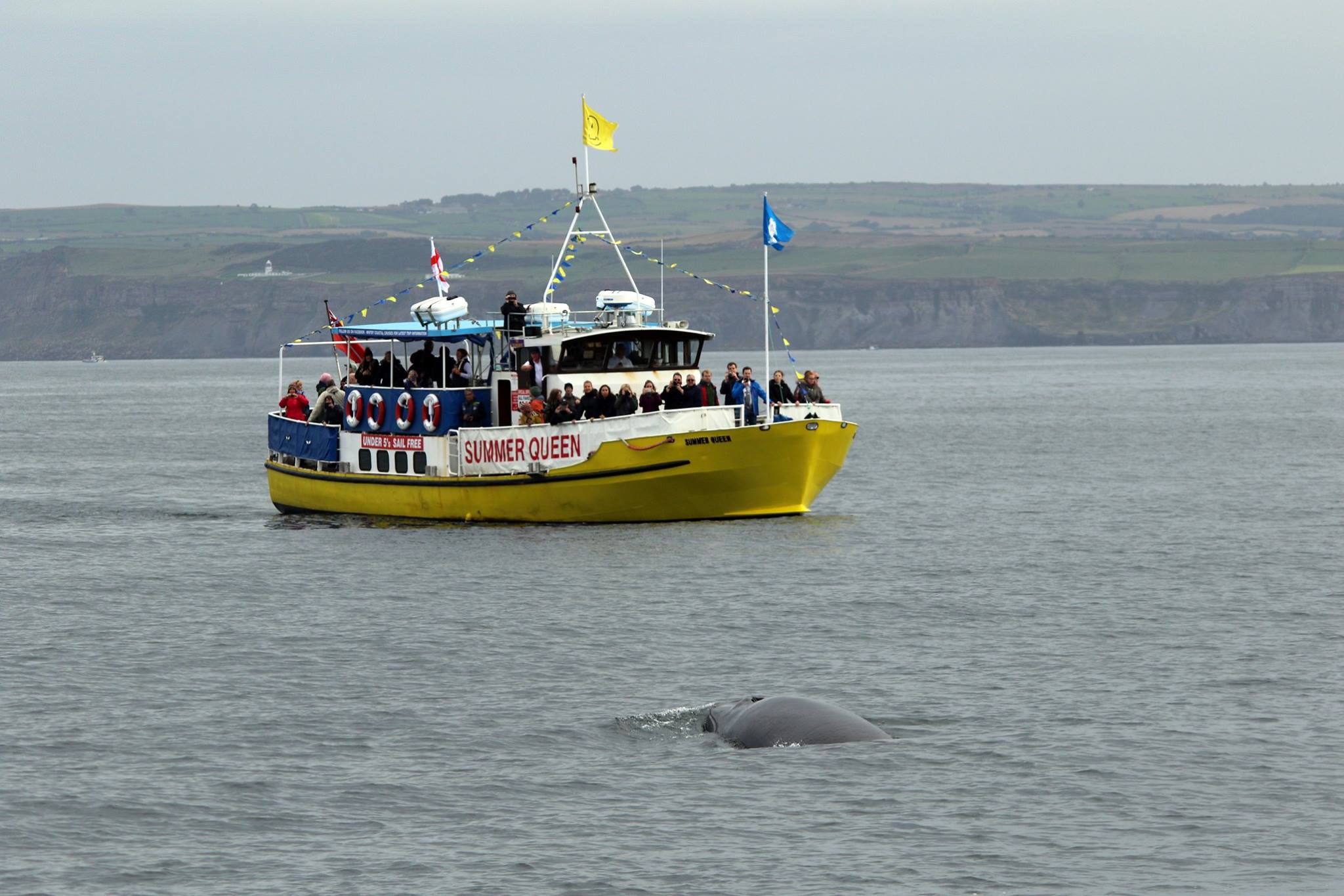 Whitby Coastal Cruises