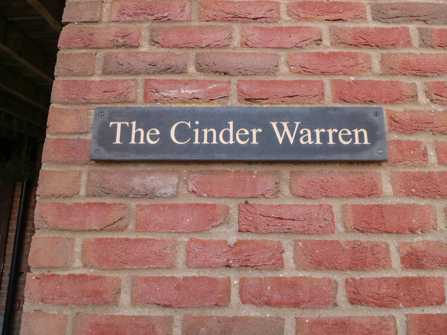 Cinder Warren — photo 4