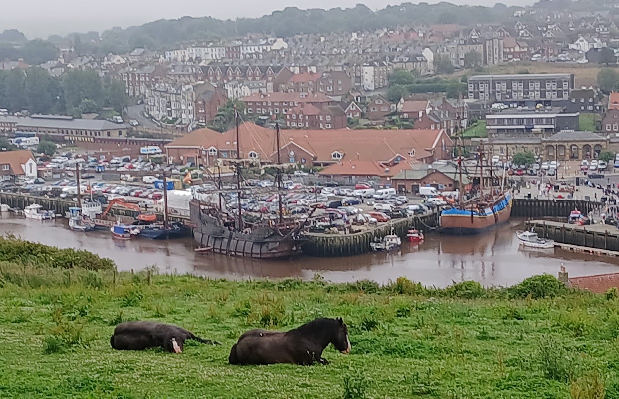 Donkey Field - historic-sites in whitby