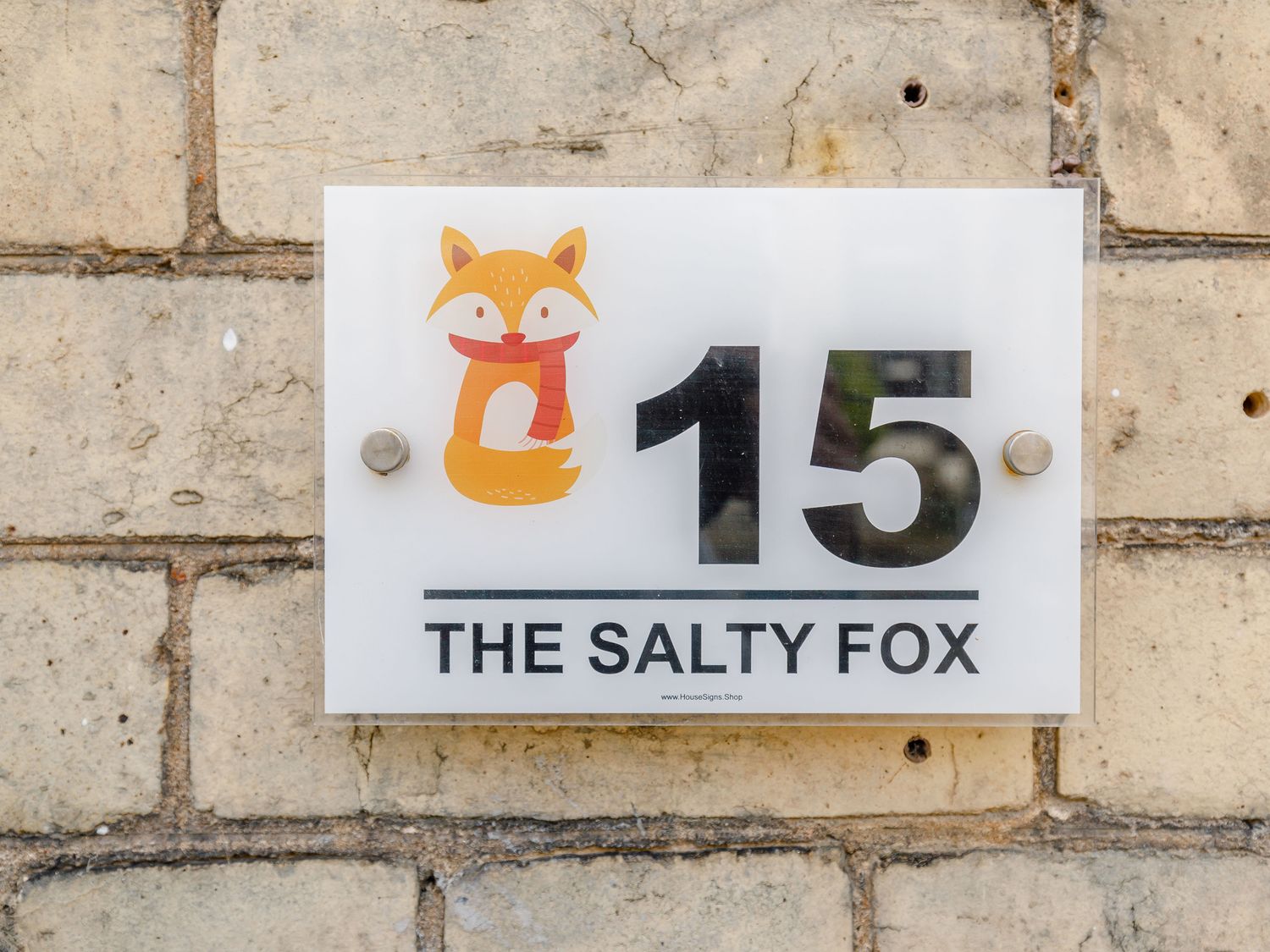 Salty Fox — photo 3
