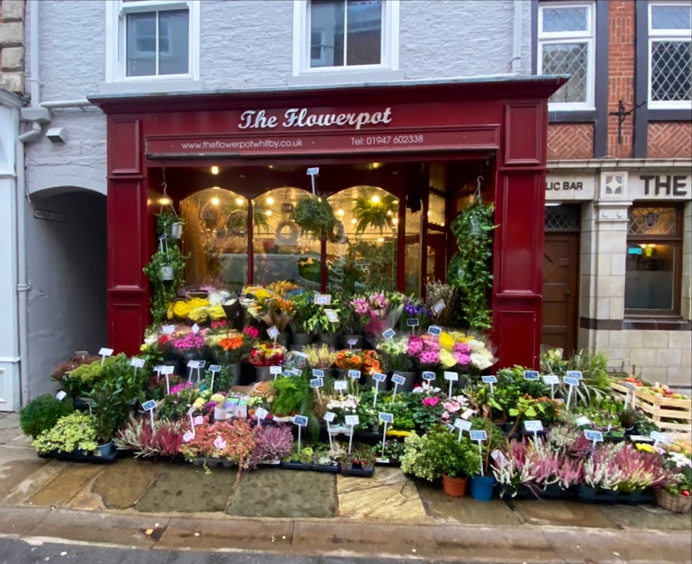 The Flowerpot