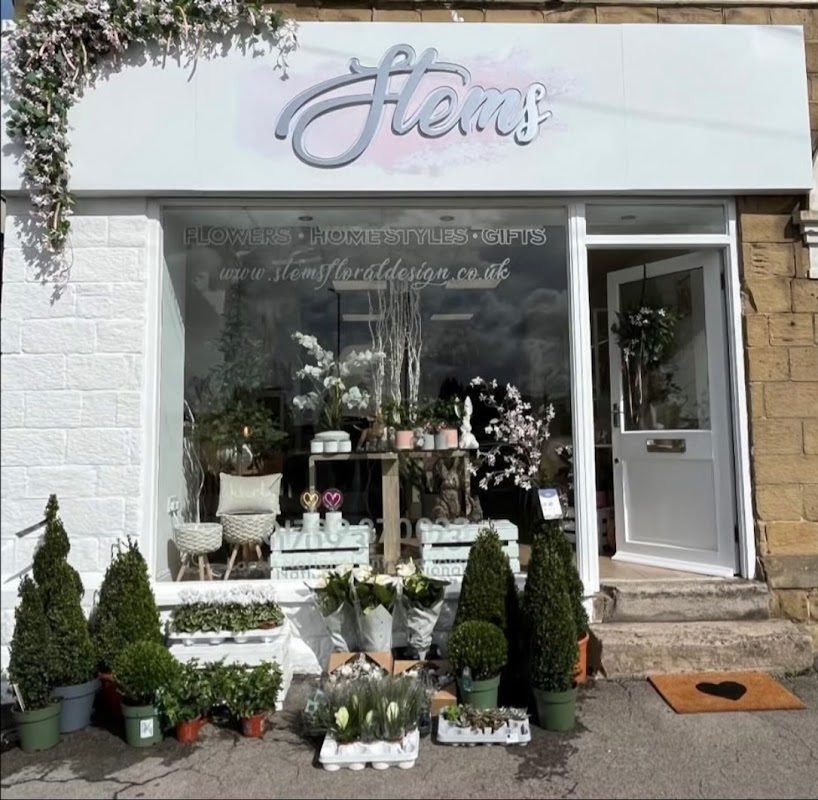 Florist shopfront with "Stems" sign, potted plants, flowers, and decorative items displayed outside in Wickersley.