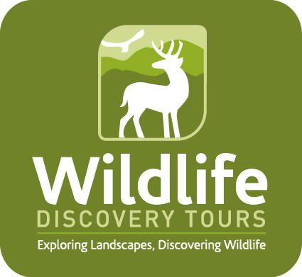 Wildlife Discovery Tours