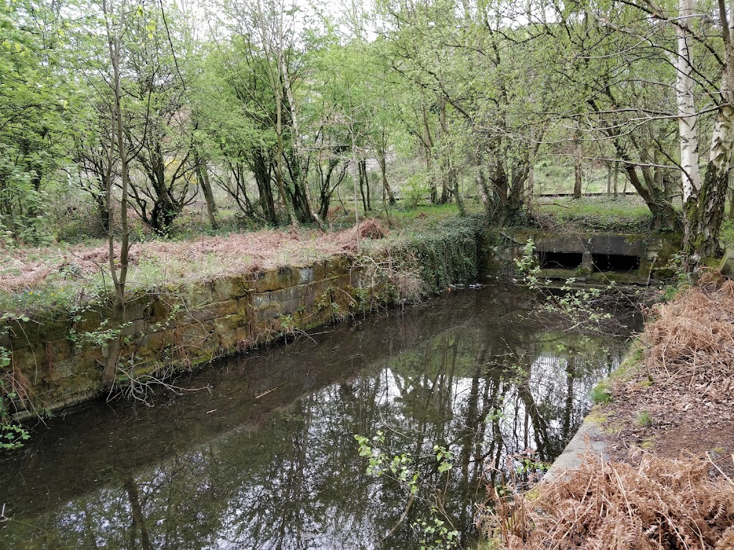 Hemingfield Basin (Hemingfield Colliery loading basin)