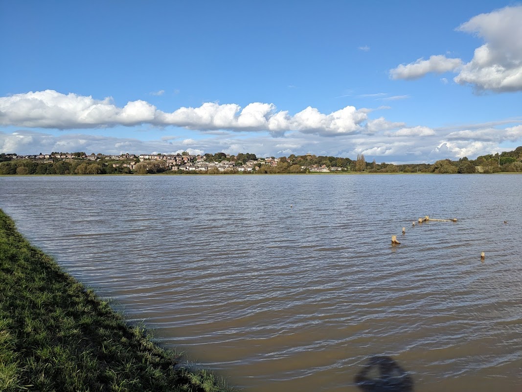 RSPB Dearne Valley - Wombwell Ings