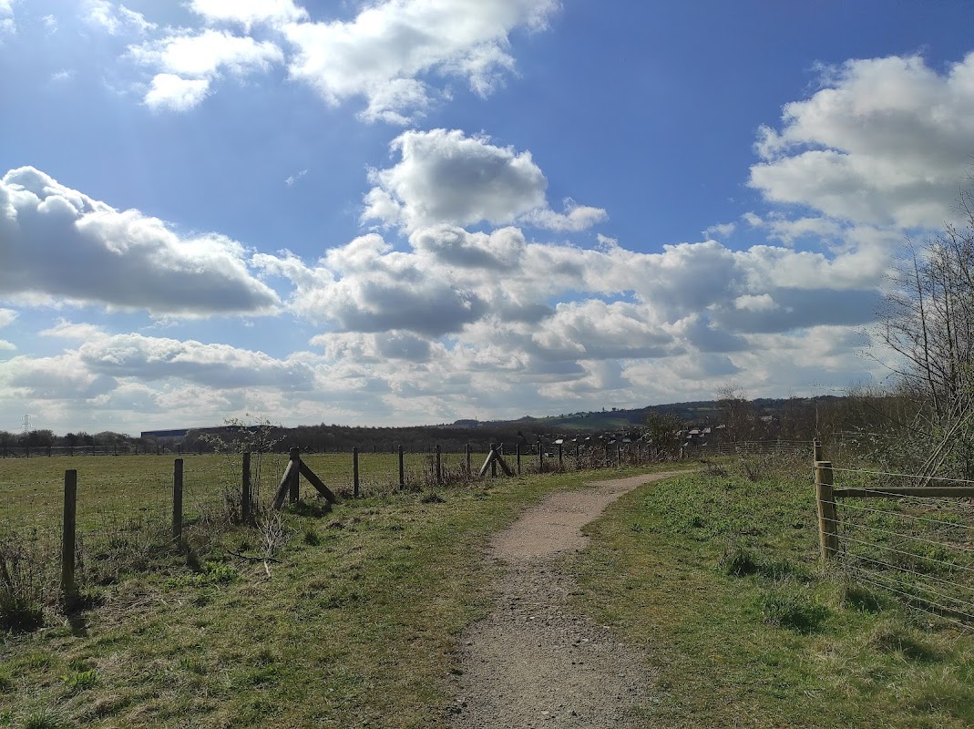 Beighton Marsh