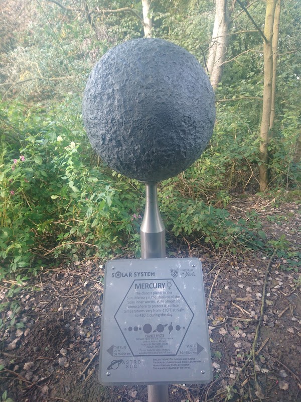 Astrocampus
