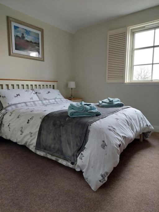 Decca cottage is Cheerful one bedroom cottage — photo 7