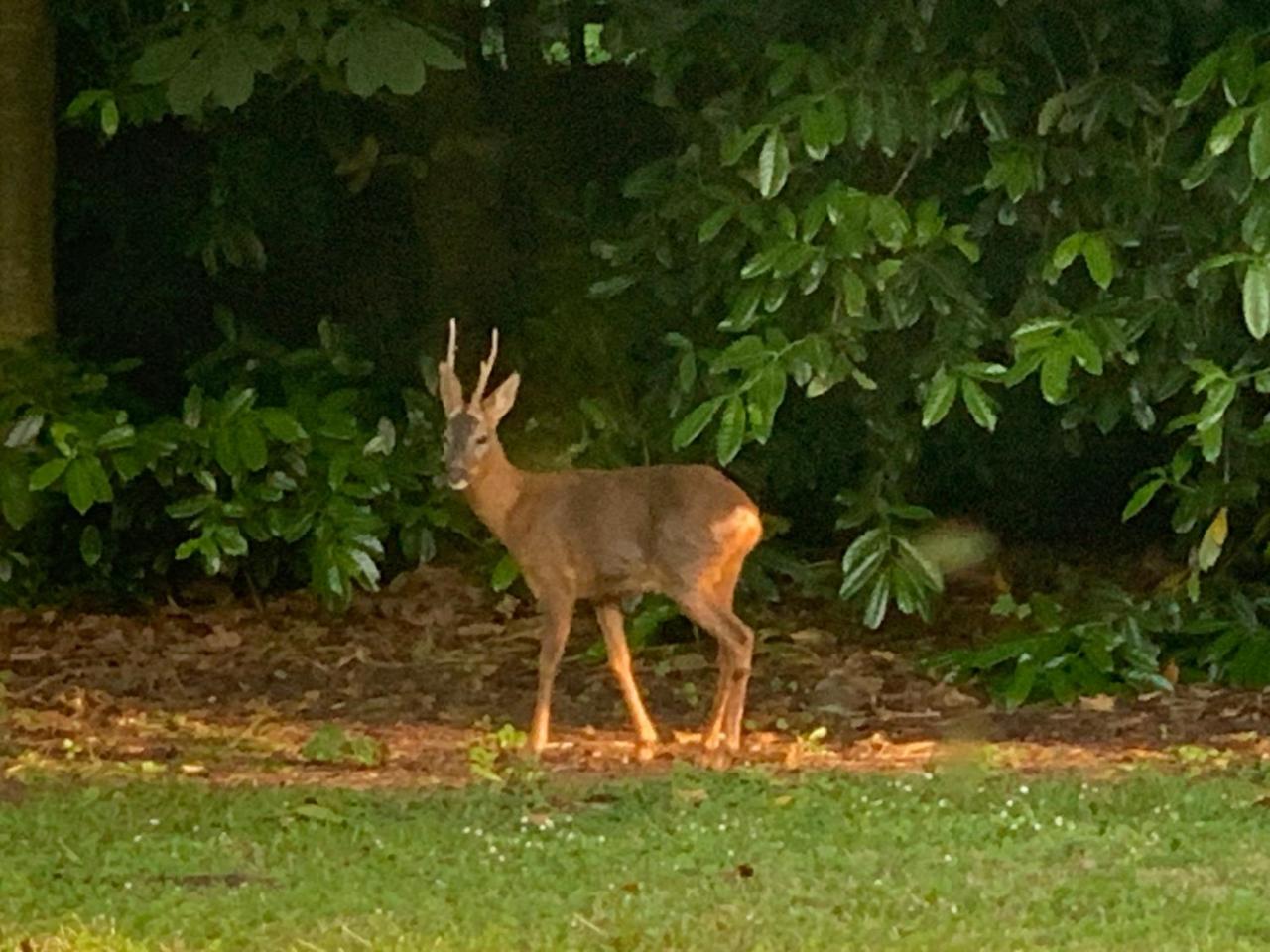 Kexby House Country Family Retreat — photo 3