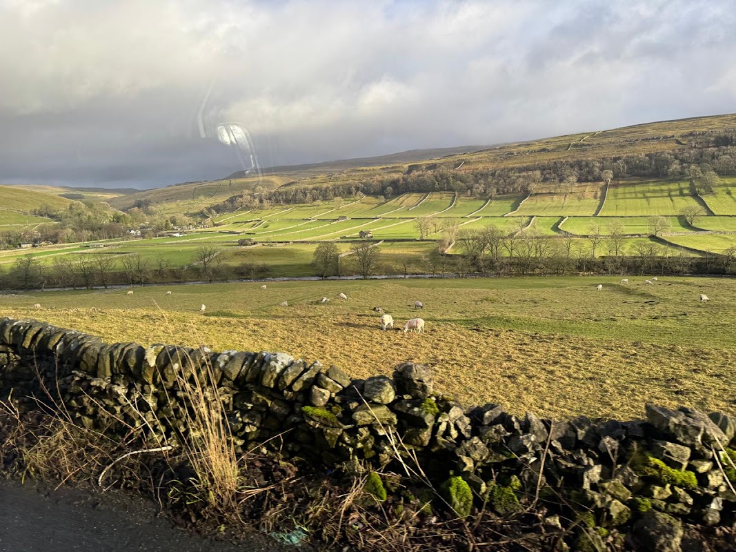 Mountain Goat Tours - York